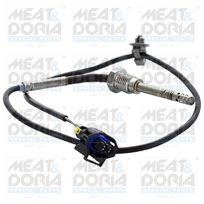 Sensor, exhaust gas temperature